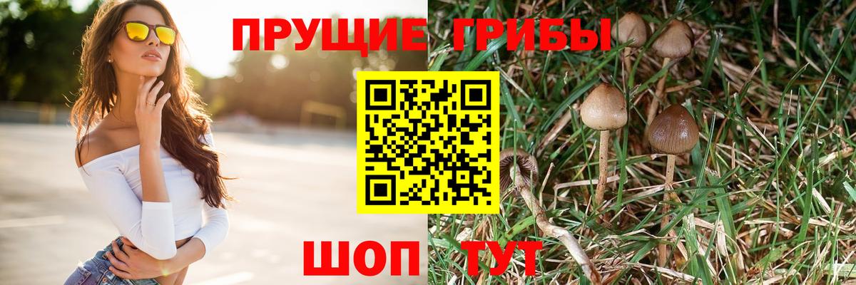 Галлюциногенные грибы прущие грибы  Вход с VPN  Великий Новгород 